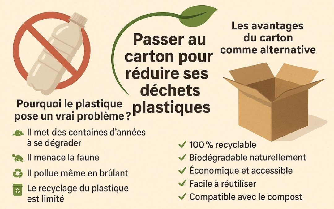 Passer au carton pour réduire ses déchets plastiques : La solution ?