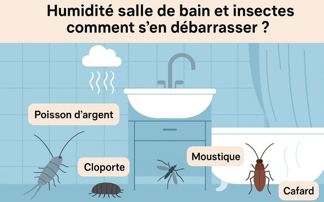 Humidité, salle de bain et insectes : comment s’en débarrasser ?