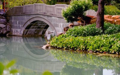 Les 10 plus beaux jardins botaniques de France