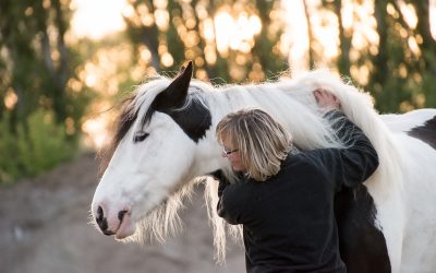 Formation communication animale : le guide indispensable pour se lancer